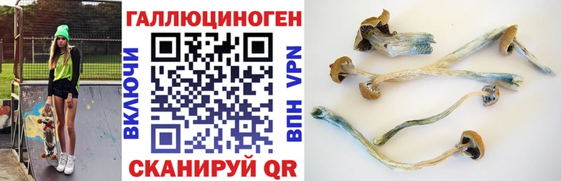 где купить наркотик  Прокопьевск  Галлюциногенные грибы прущие грибы 